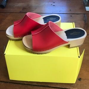 Swedish Hasbeens Clogs